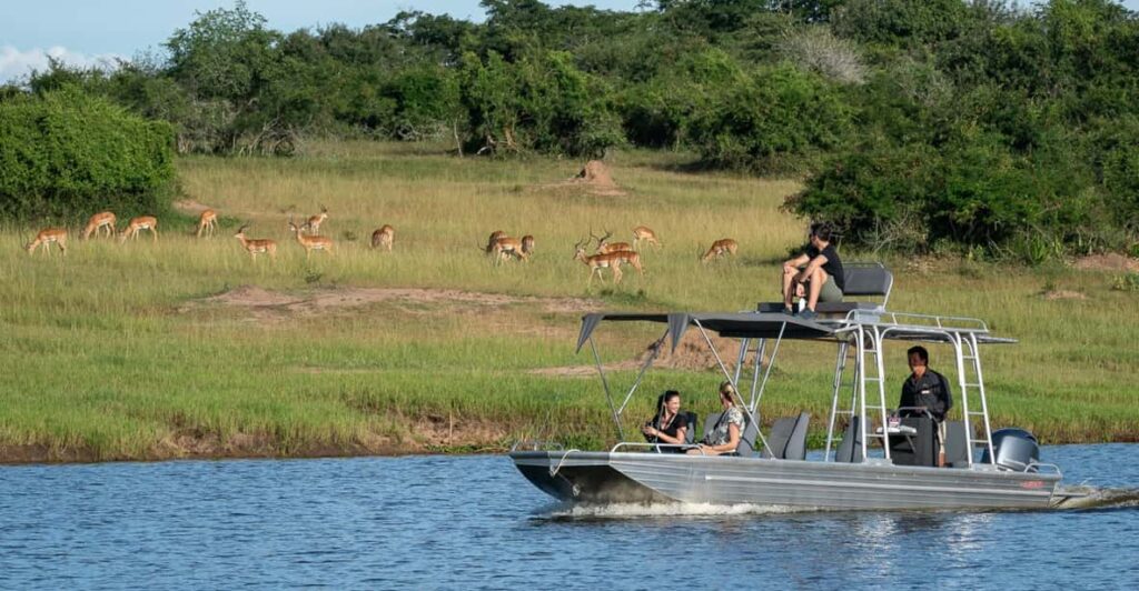 lake ihema boar