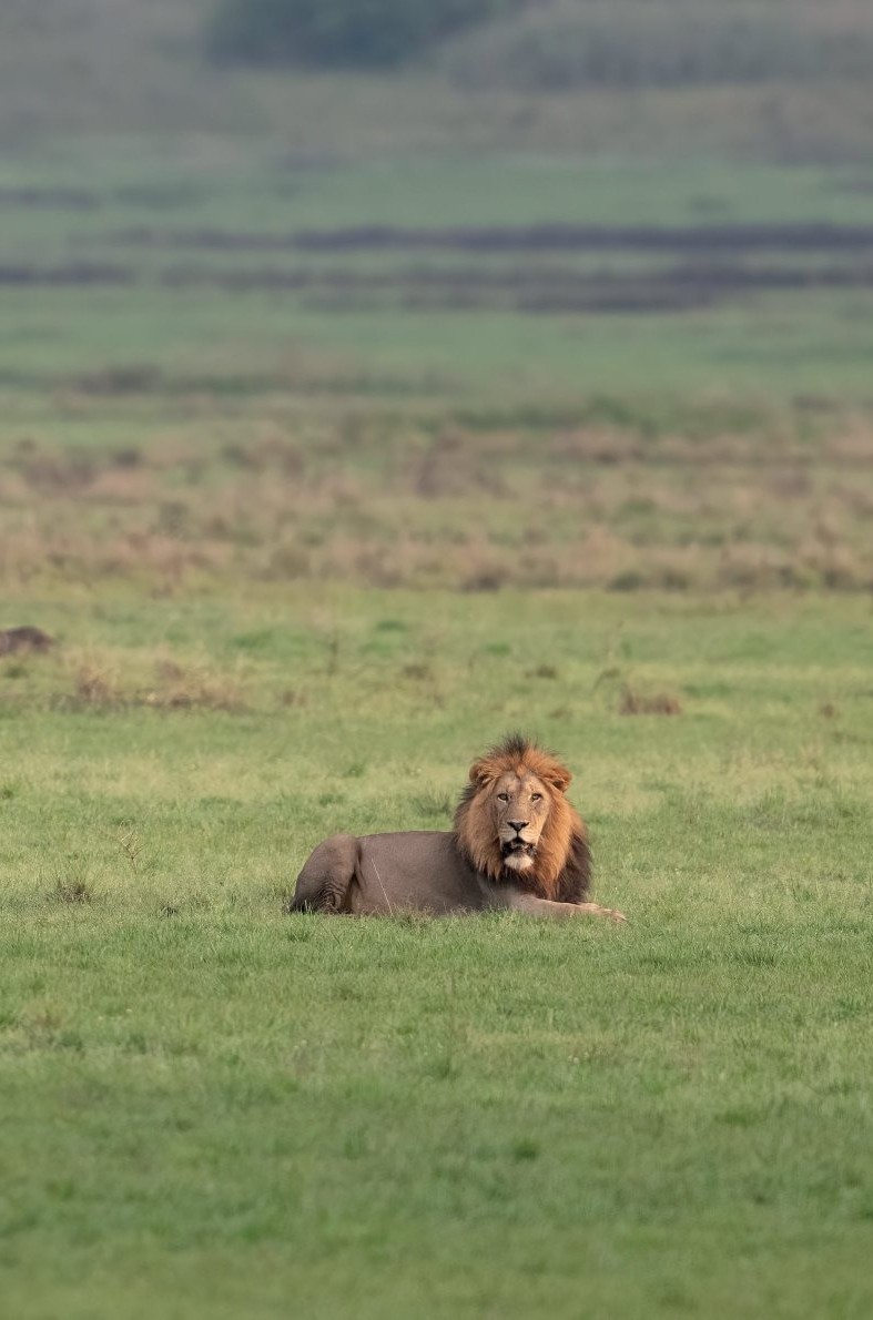 Akagera National Park